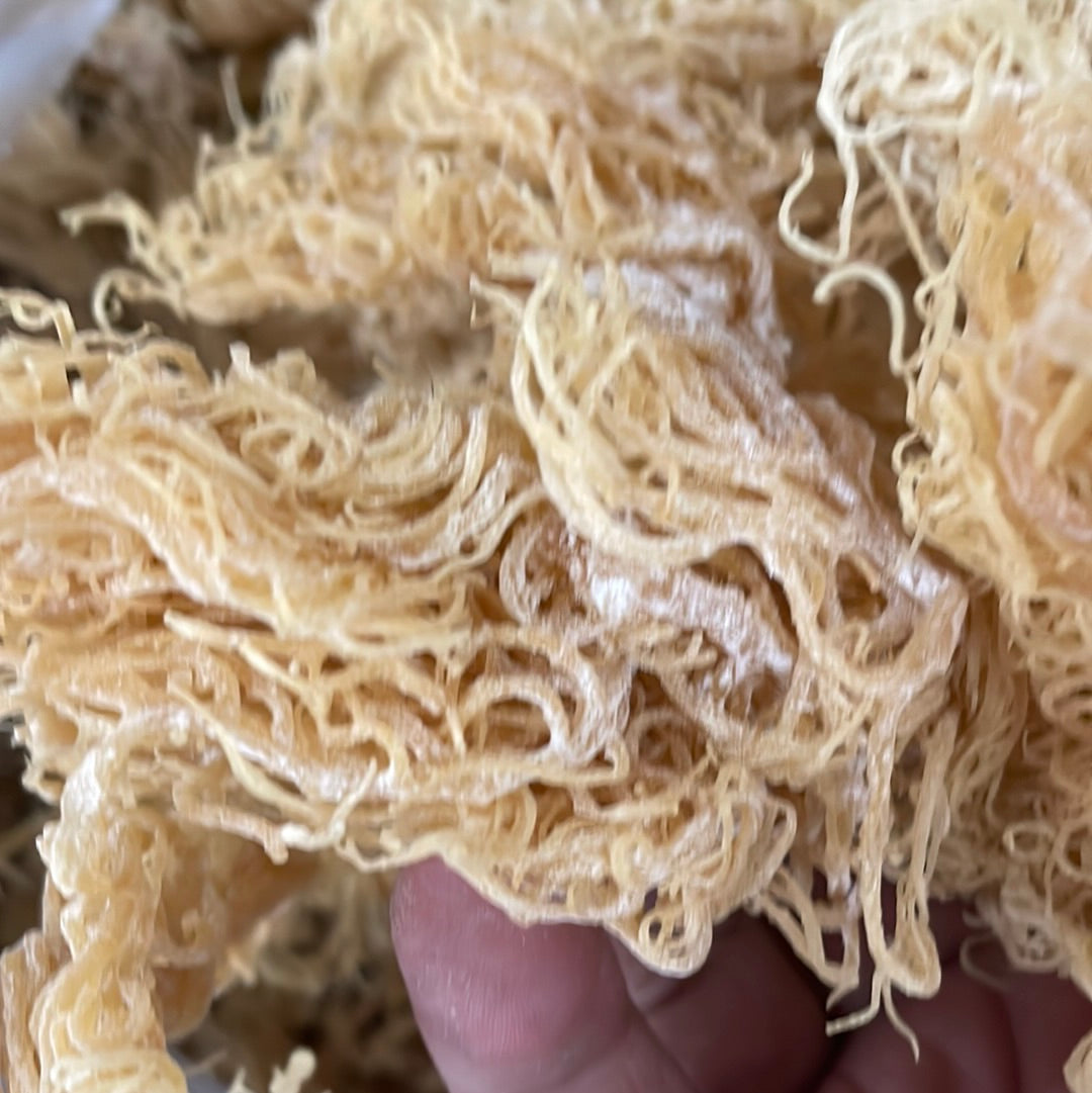 Gold Sea Moss Bulk | St. Lucian Dried Seamoss